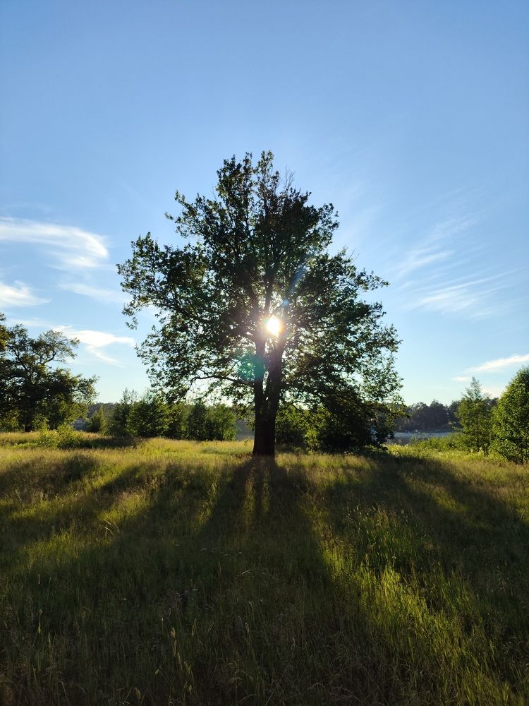 Photograph by Света Сафонова