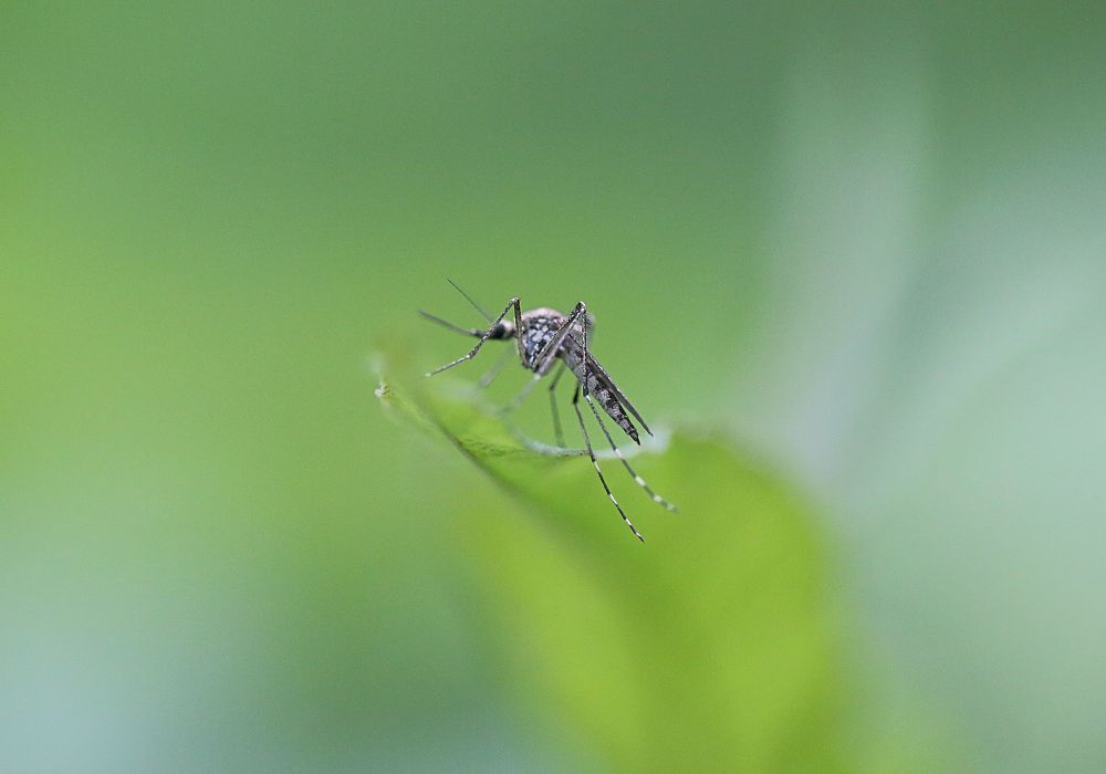 Photograph by Дмитрий Фетисов