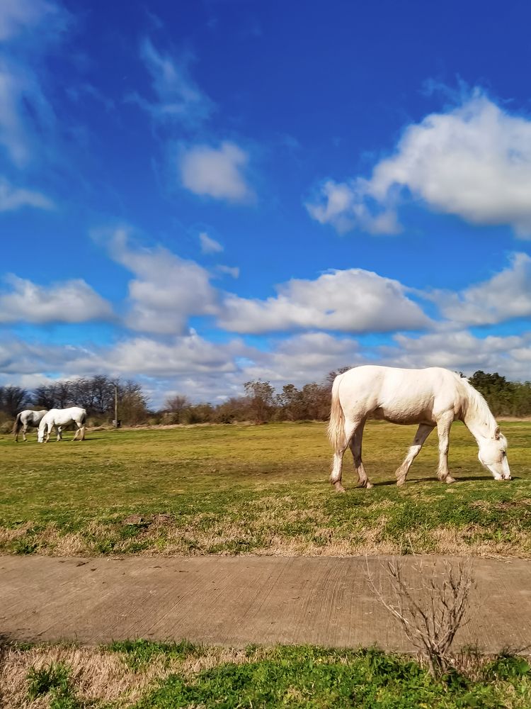 Photograph by Сергей Аверченко