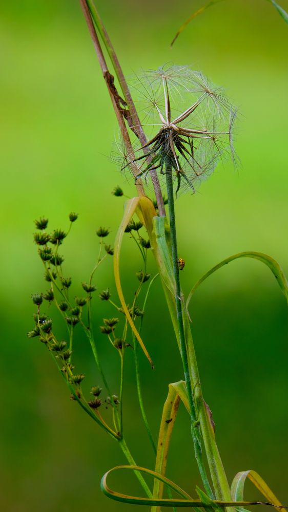 Photograph by Александр Елизаров