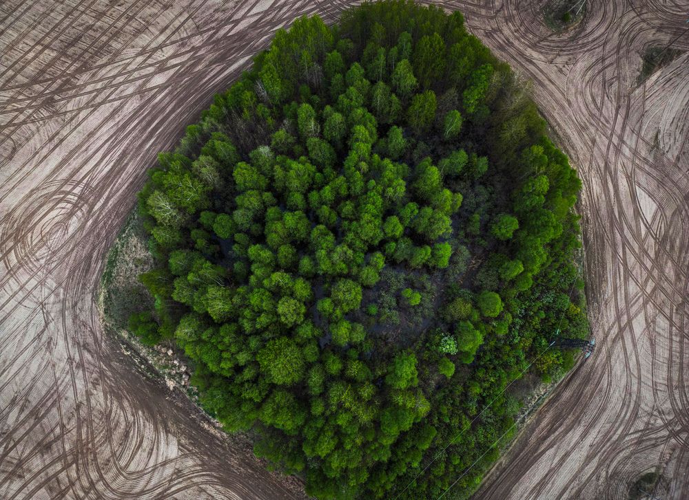 Photograph by Konstantin Martynov