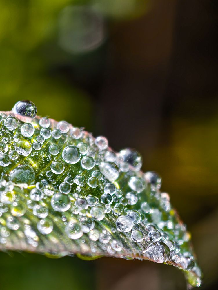 Photograph by Konstantin Martynov