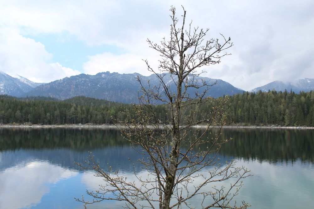 Фотография автора Natalia Khodina