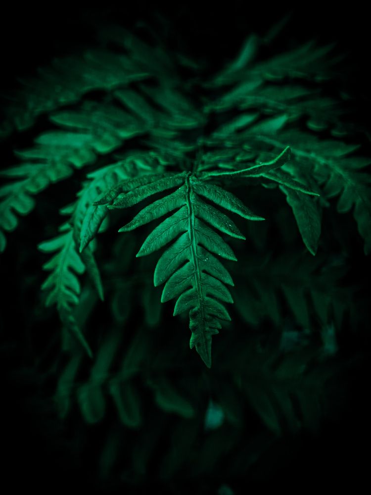 Photograph by Konstantin Martynov