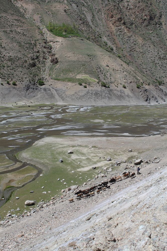 Фотография автора Natalia Khodina