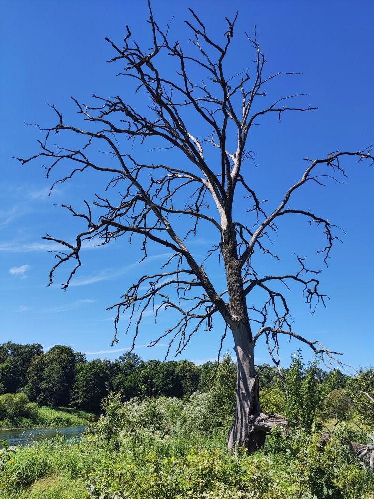 Photograph by Дмитрий Фетисов