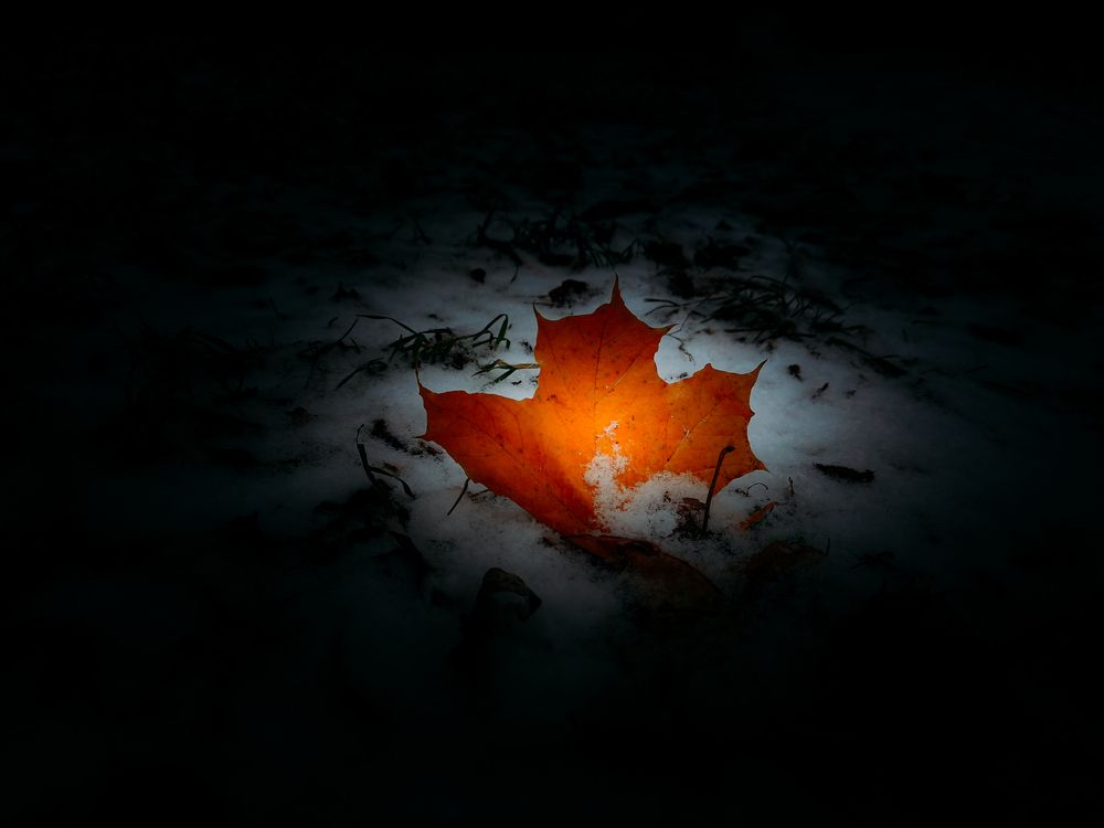 Photograph by Максим Кутсар