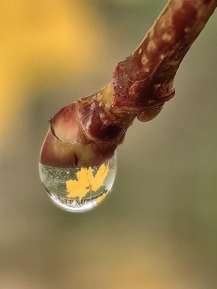 Photograph by Олеся Газиева