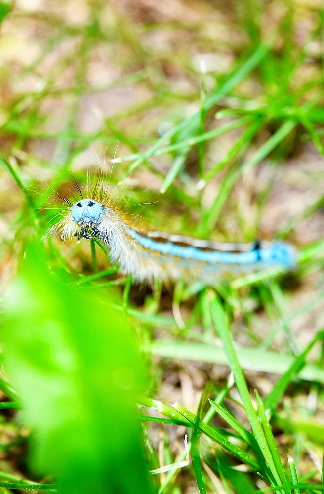 Меня что снимают?