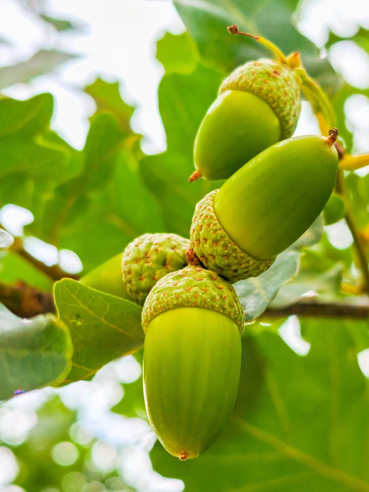 Photograph by Максим Кутсар