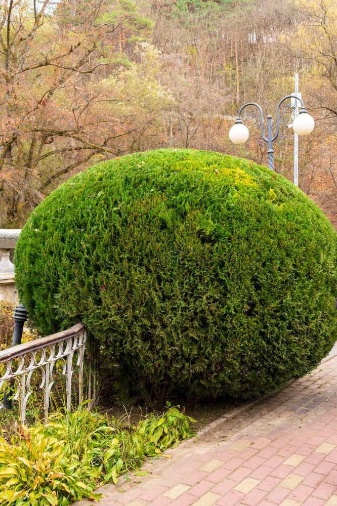 Photograph by Наталья Вялых