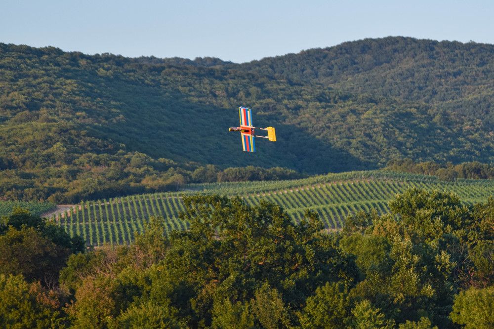 Photograph by Наталья Вялых