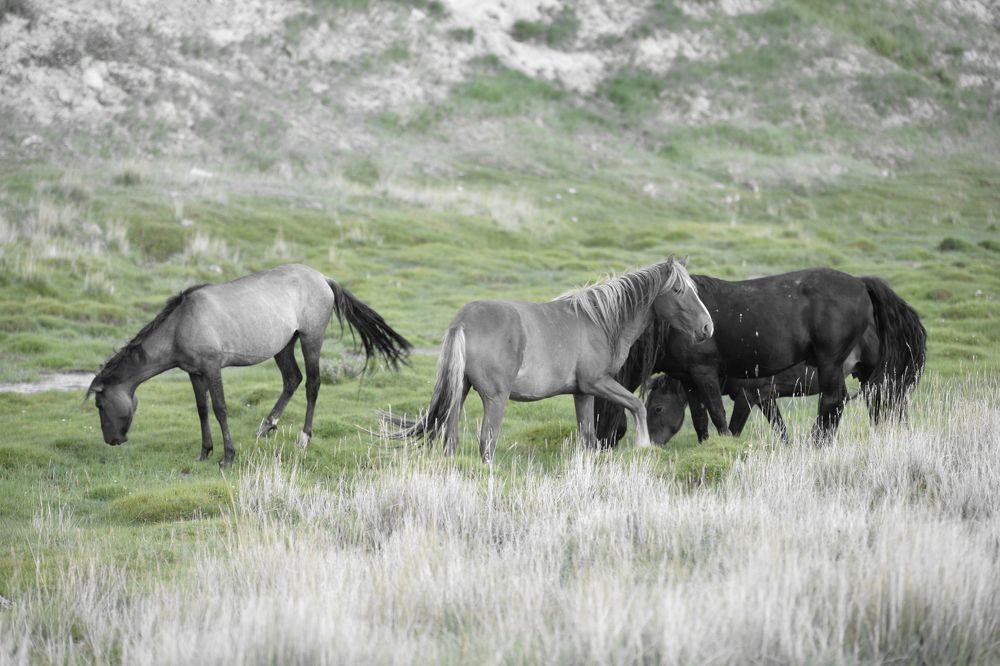 Photograph by Юлия Горбунова