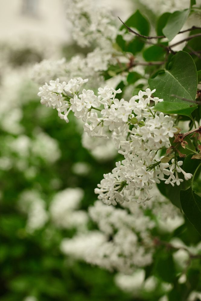 Photograph by Света Сафонова