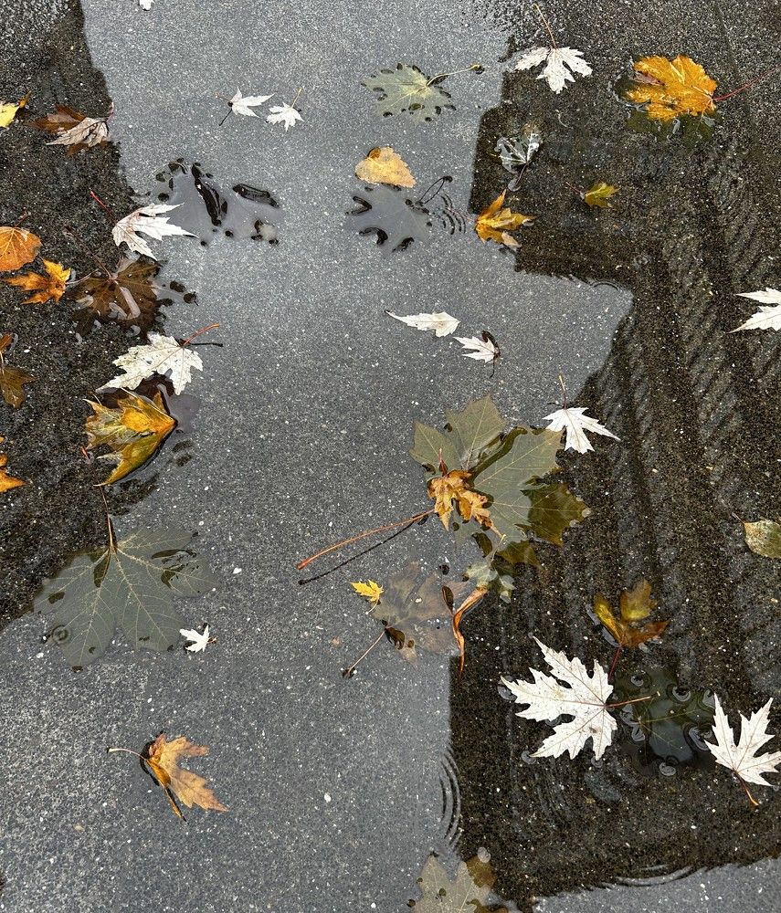 Photograph by Alex Rionir