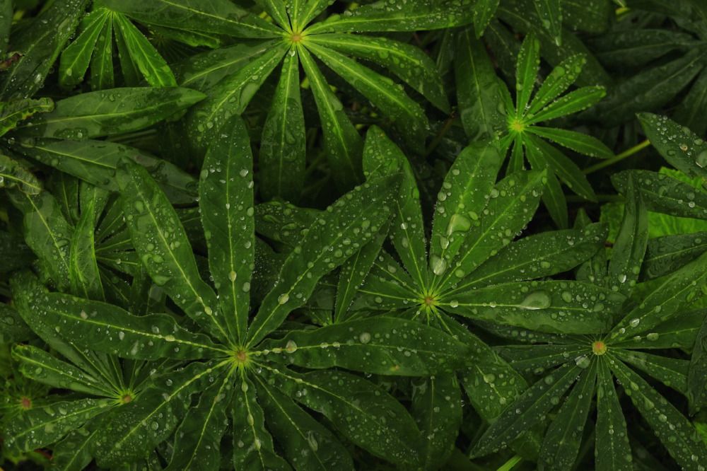 Photograph by Владимир Борозенец