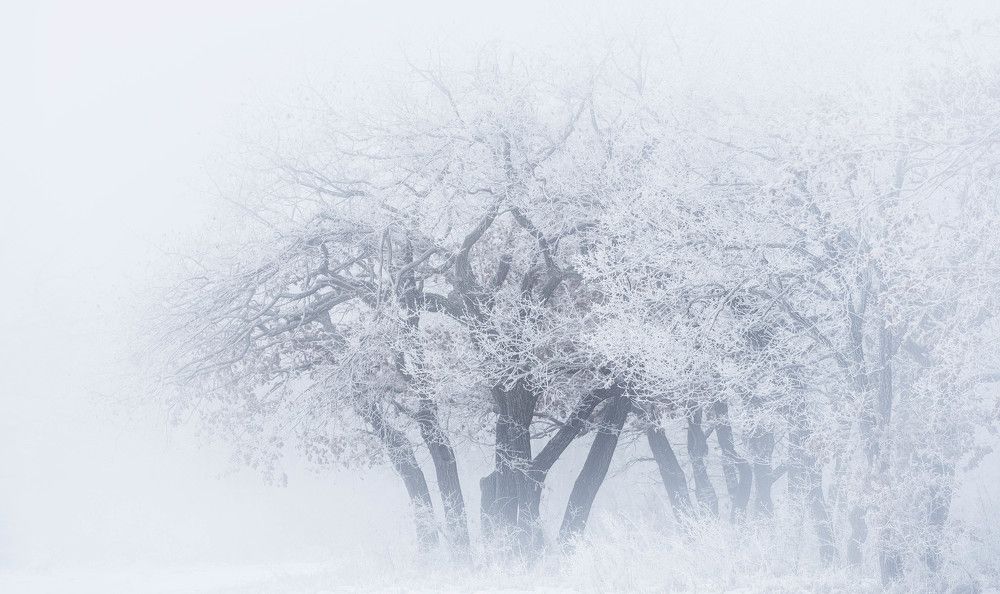 Photograph by Дмитров Андрей