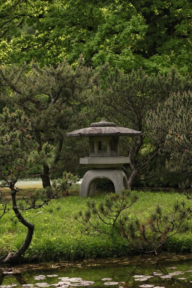 Photograph by Angelica Medvedeva