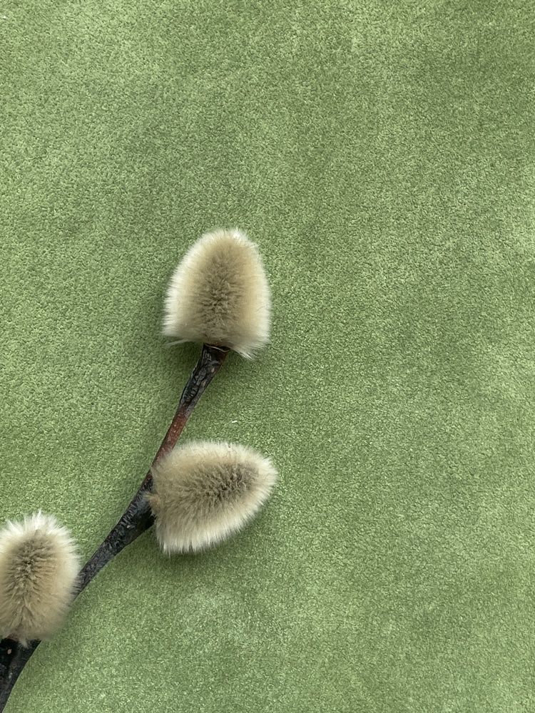 Фотография автора Елена Меньшикова