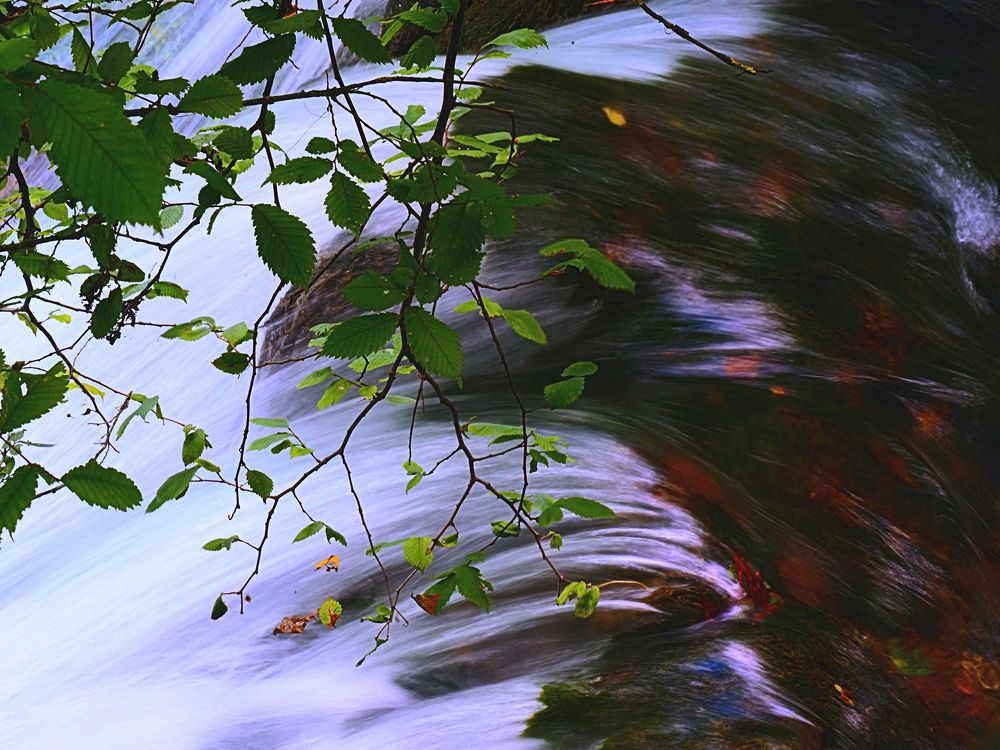 Photograph by Marija Krumes