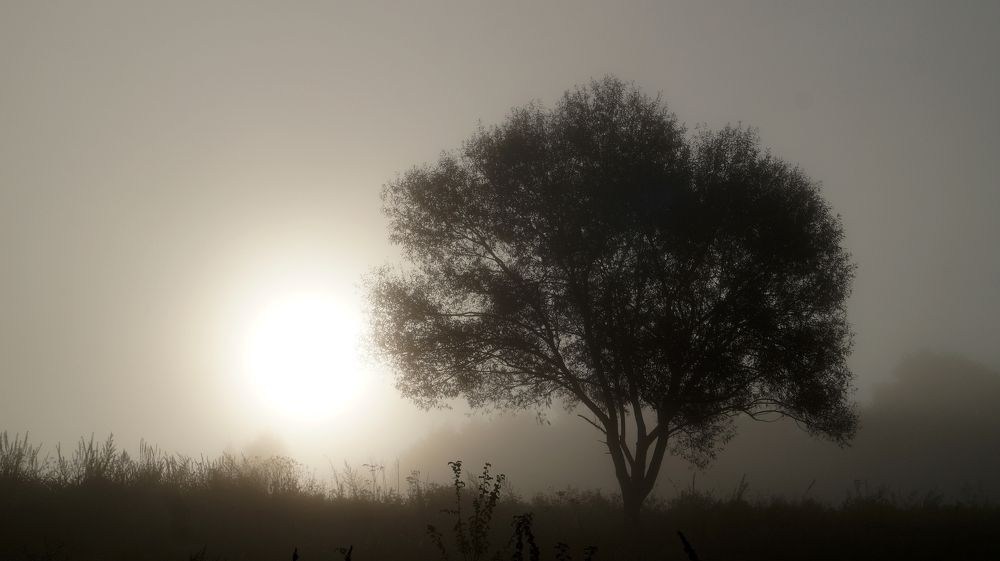 Photograph by Сергей Хохлов