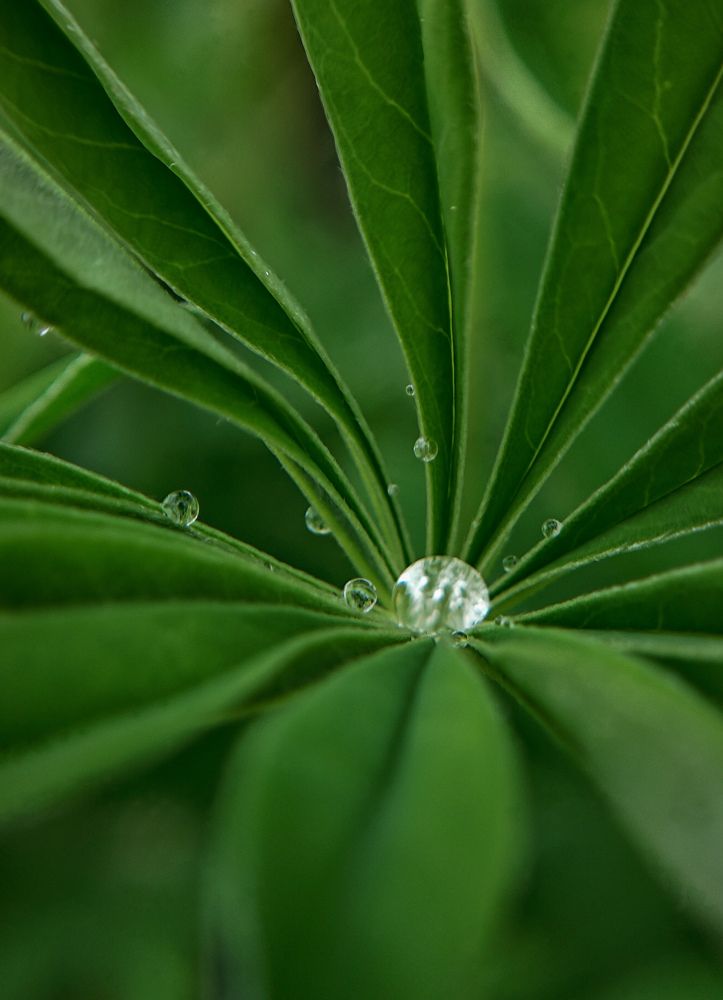 Photograph by Светлана Фоменко