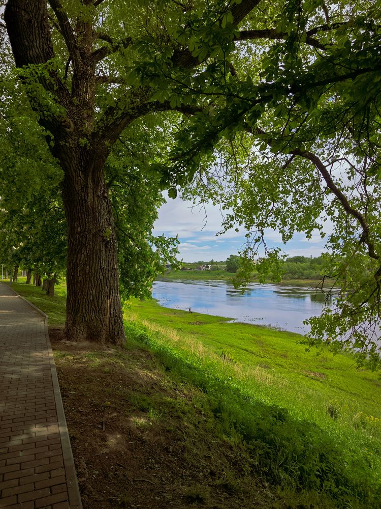 Photograph by Светлана Фоменко