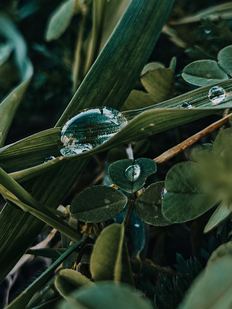 Photograph by Светлана Фоменко