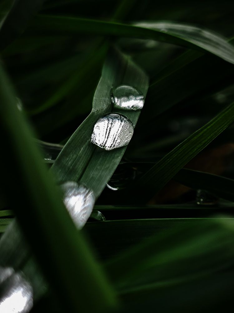 Photograph by Светлана Фоменко