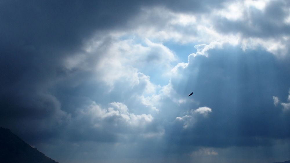 Photo #11382221
