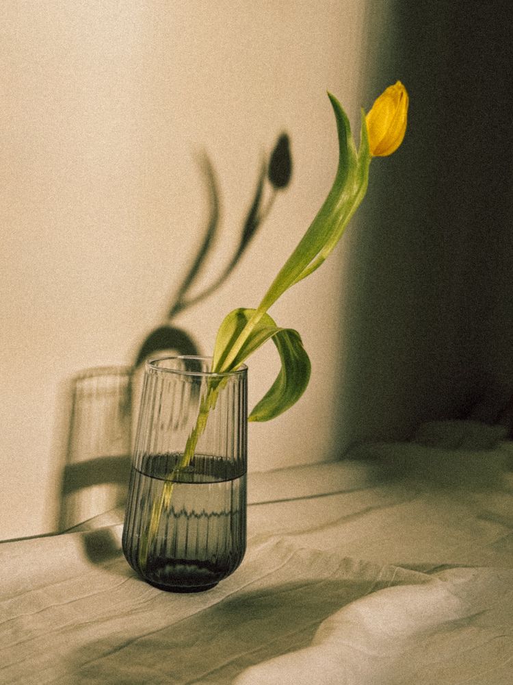 Photograph by Julia Smilovitsky