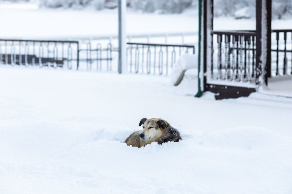 Photograph by Татьяна Тарунтаева