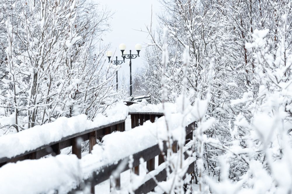 Photograph by Татьяна Тарунтаева