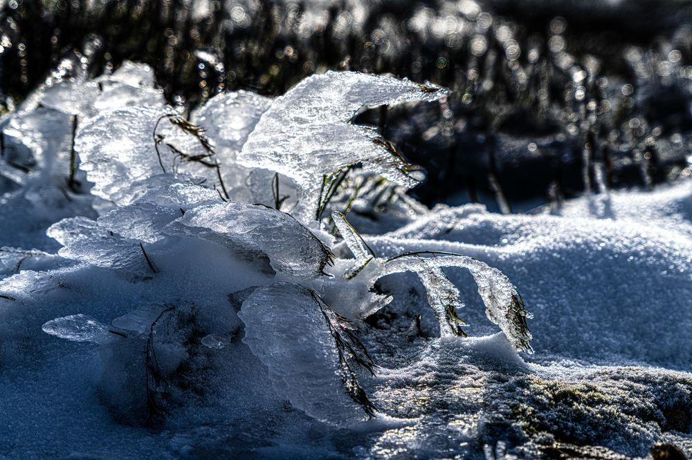 Фотография автора Julia A Caesar