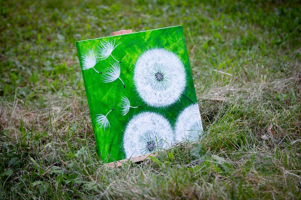 Фотография автора Михаил Панагушин