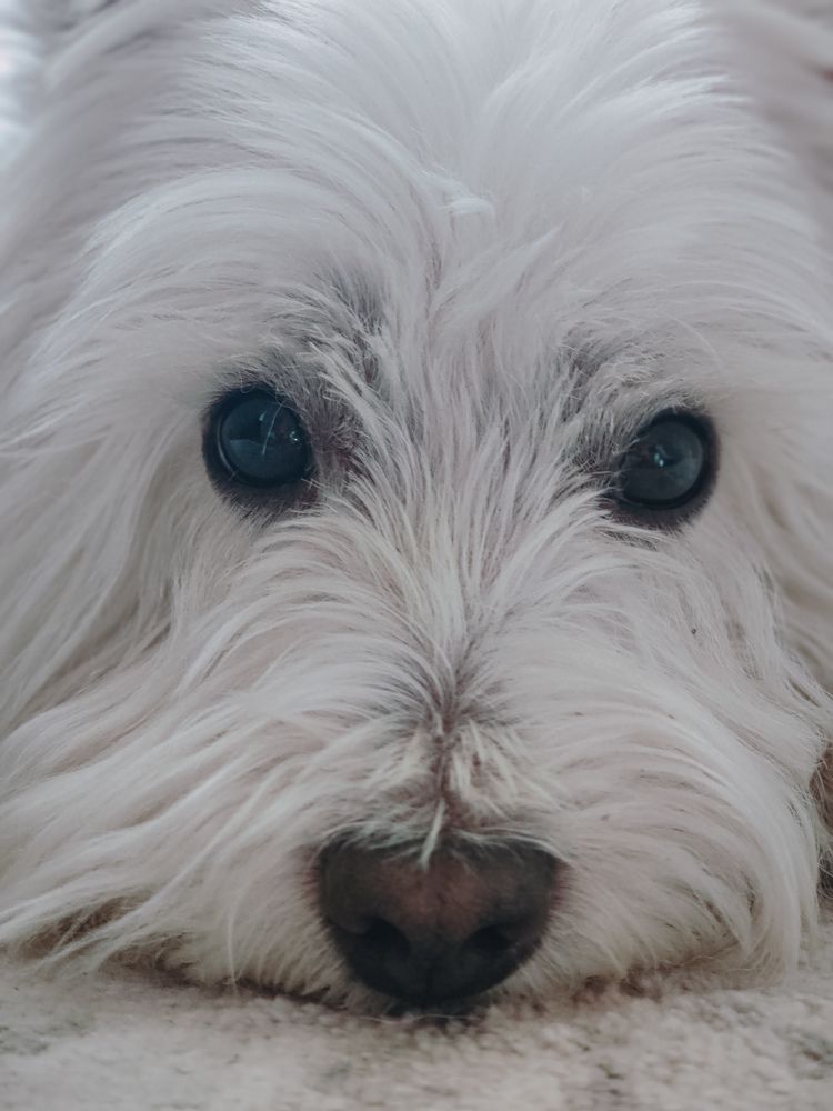 Photograph by Светлана Фоменко