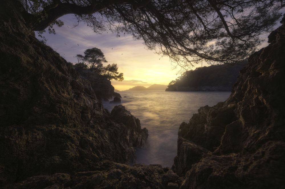 Photograph by Nicola Manfredi