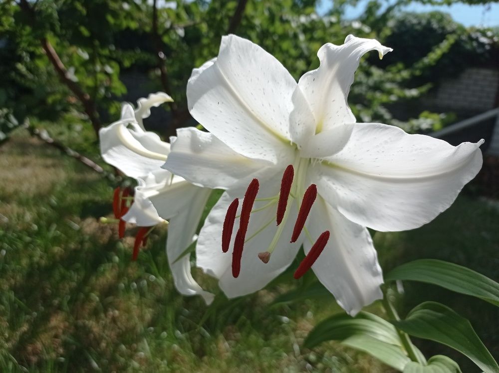 Photograph by Ирина Марченко