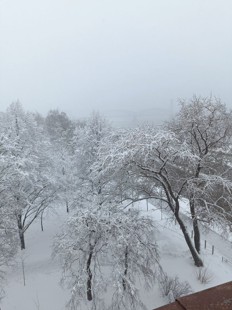 Photo #11382342
