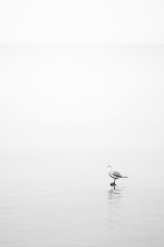 Photograph by Владимир Леликов-Кузьменко