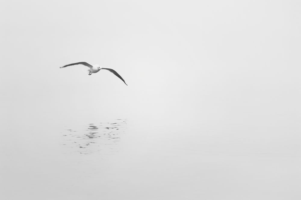 Photograph by Владимир Леликов-Кузьменко