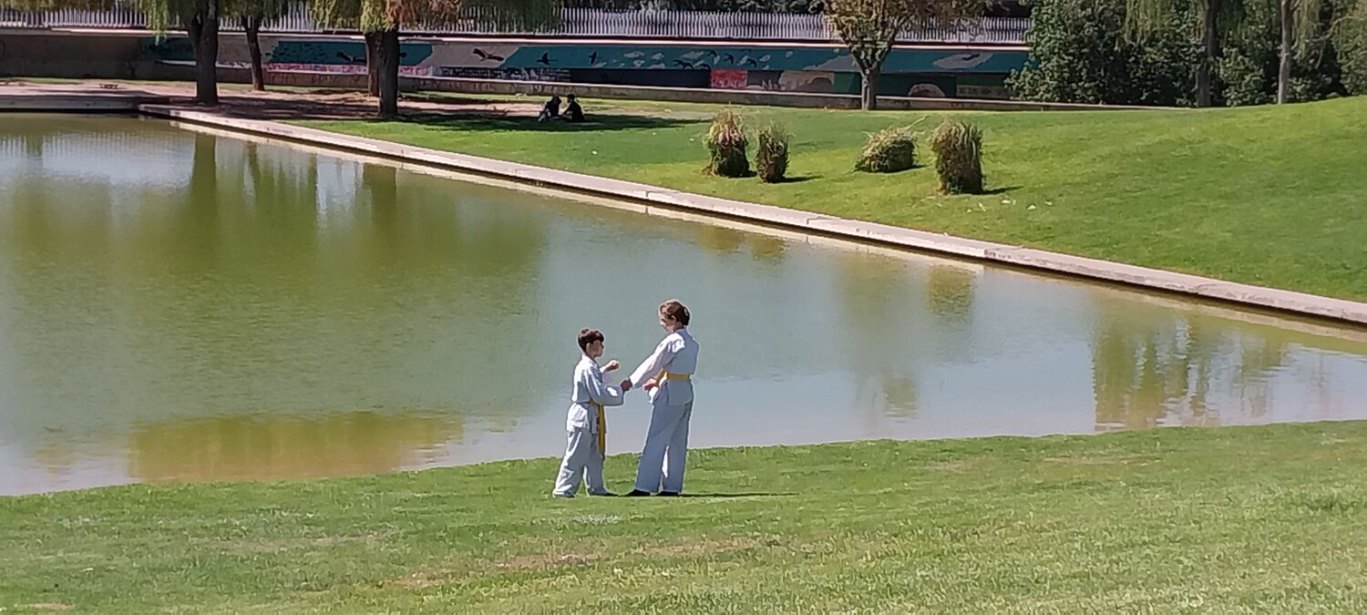 Photo #11382363