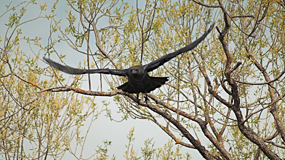 Photograph by Сергей Хохлов