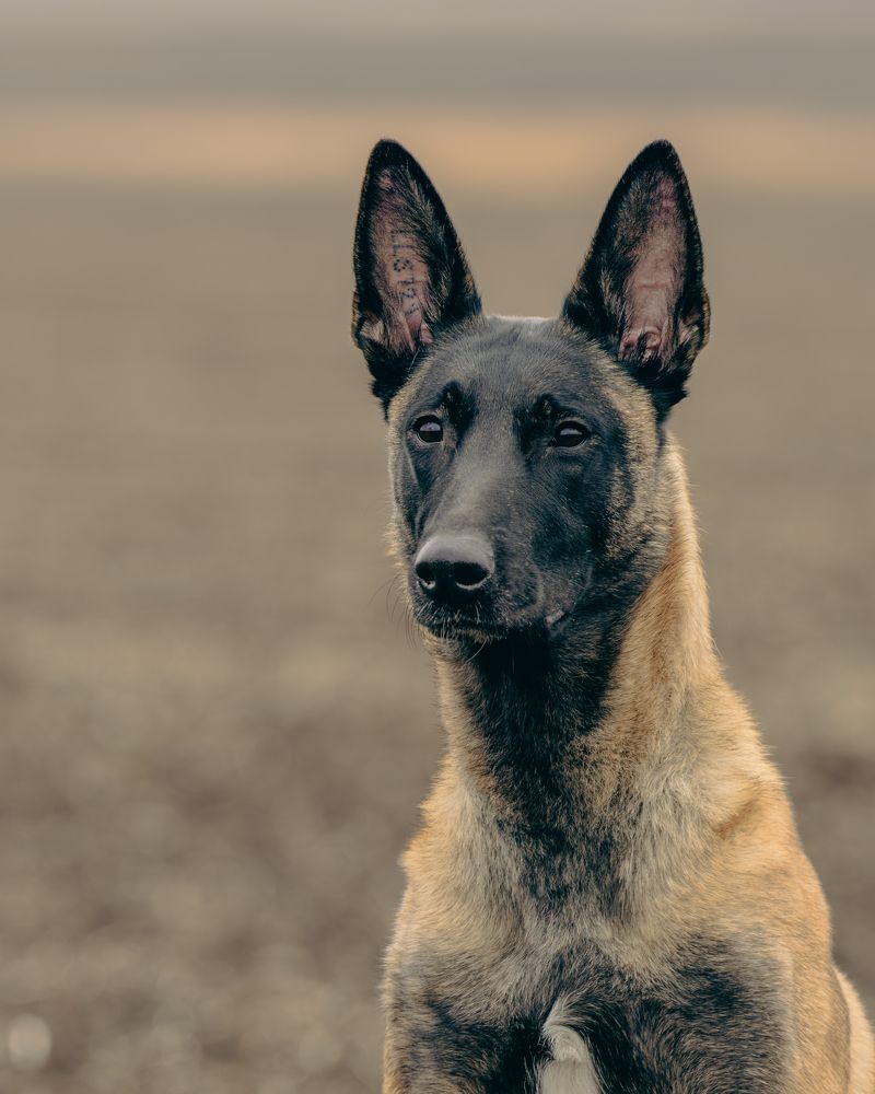 Photograph by Сергей Жиркевич