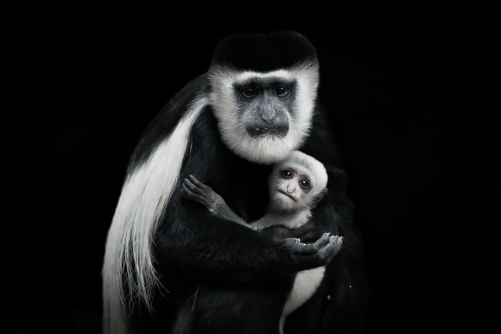 Photograph by Jesus Frias