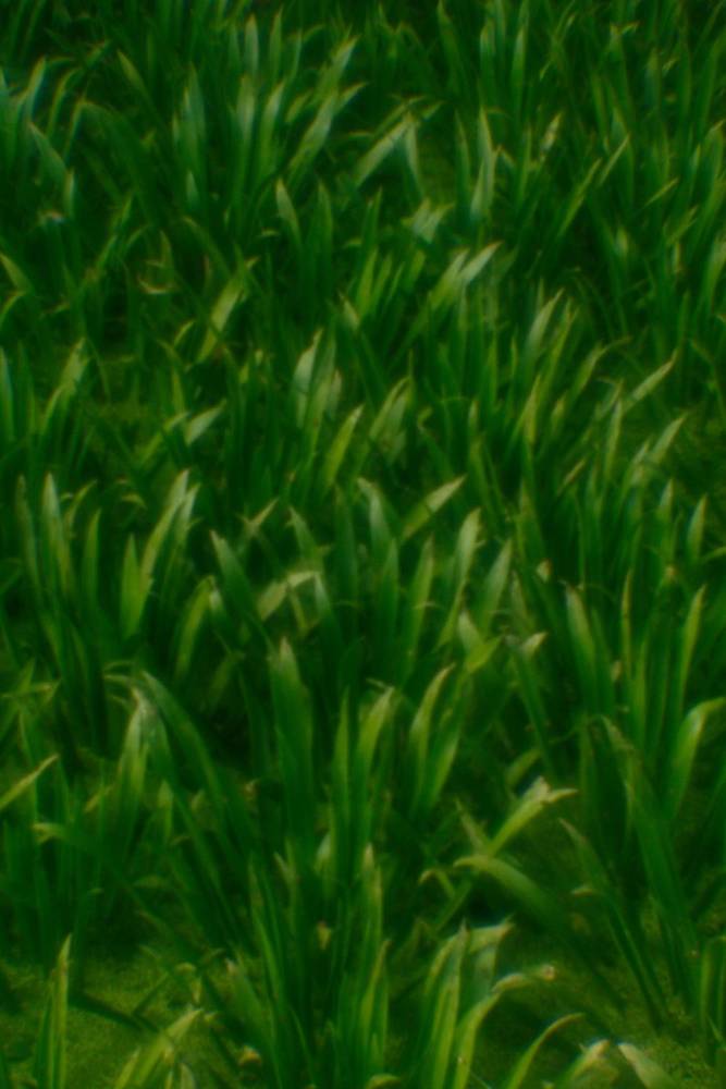 Photograph by Владимир Леликов-Кузьменко