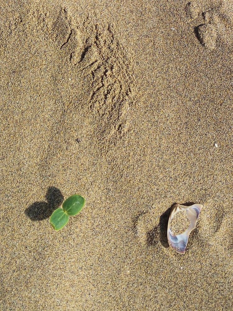 Photograph by Галина Махонь