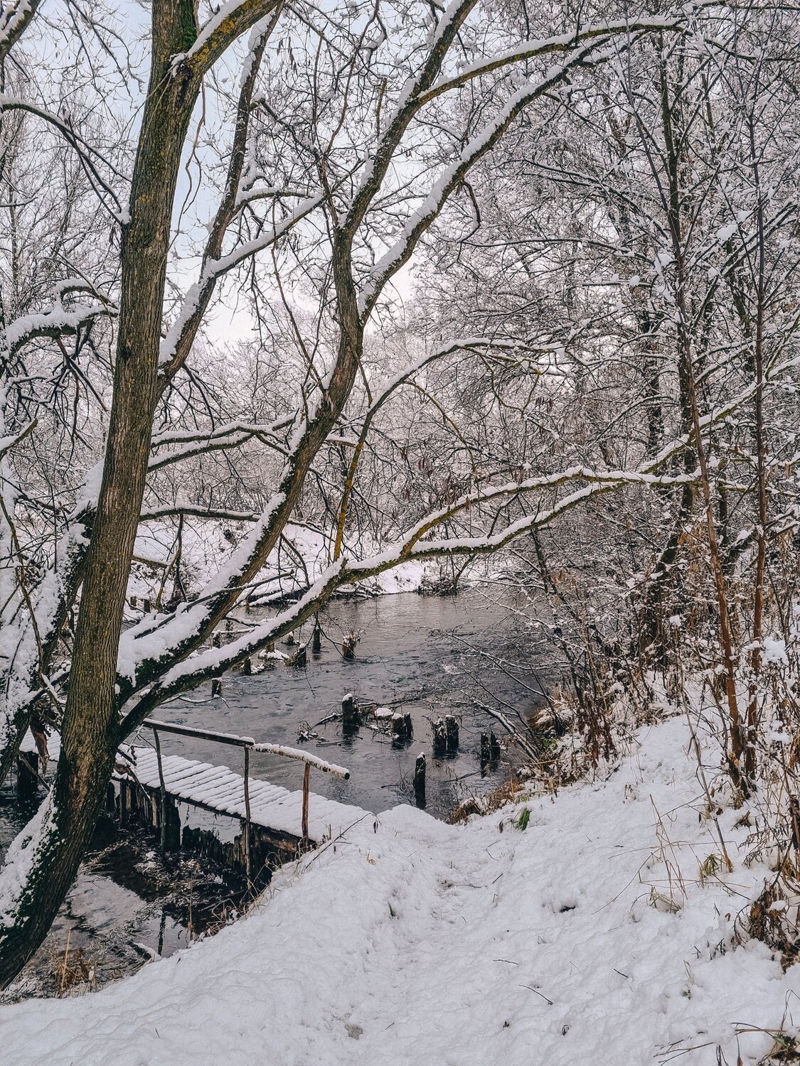 Photo #11382441