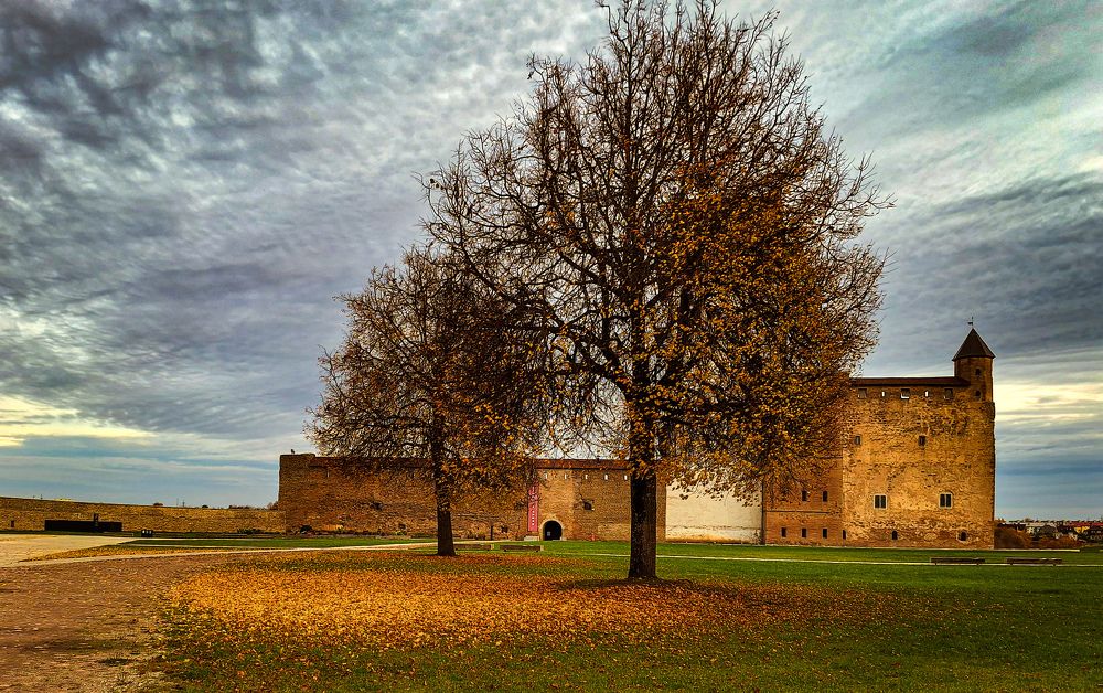 Photograph by Игорь Овсиенко