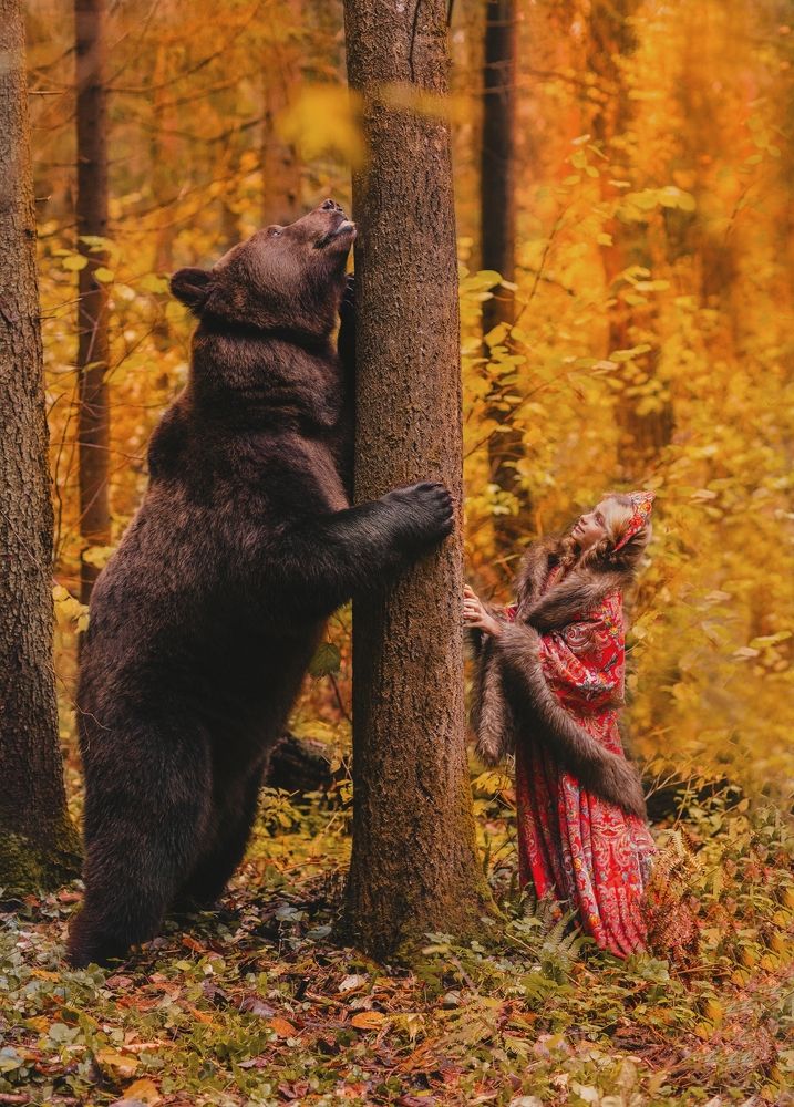 Фотография автора Светлана Шведова